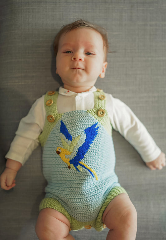 Macaw Organic Cotton Evergrow Romper in Blue Sky