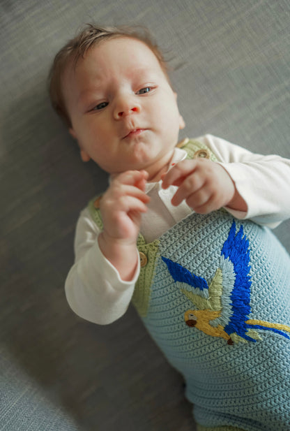 Macaw Organic Cotton Evergrow Romper in Blue Sky