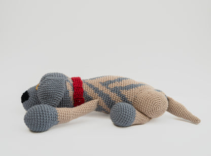 Sharo the Heirloom Pup