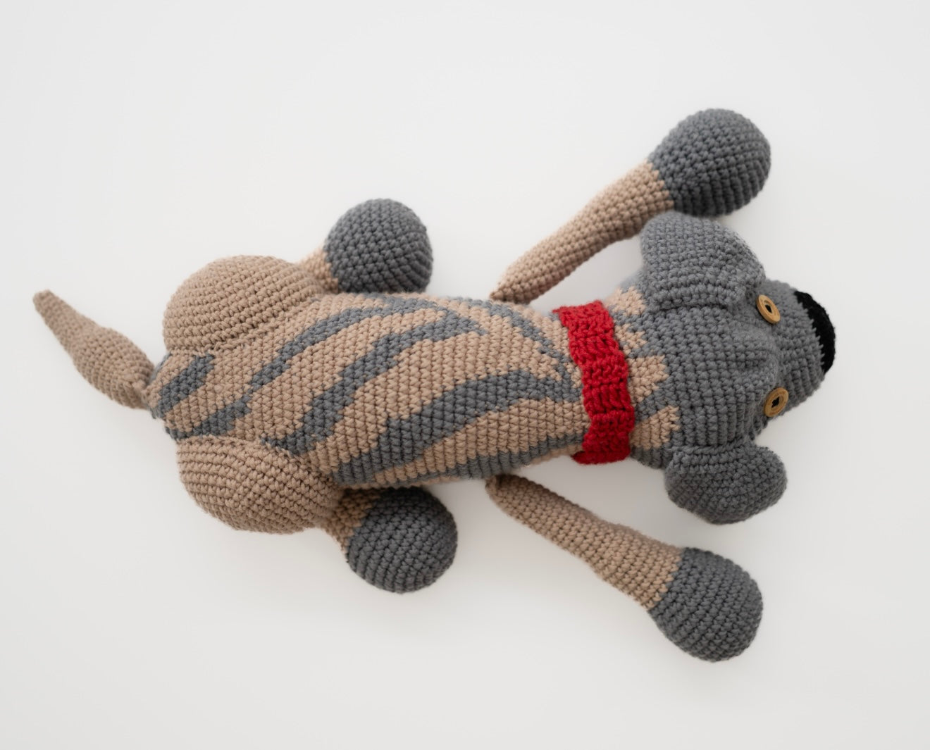 Sharo the Heirloom Pup