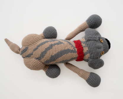 Sharo the Heirloom Pup